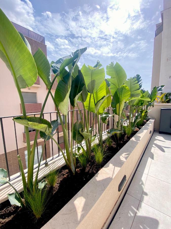 Hotel-Apartment With Big Terrace 팔마데마요르카 외부 사진